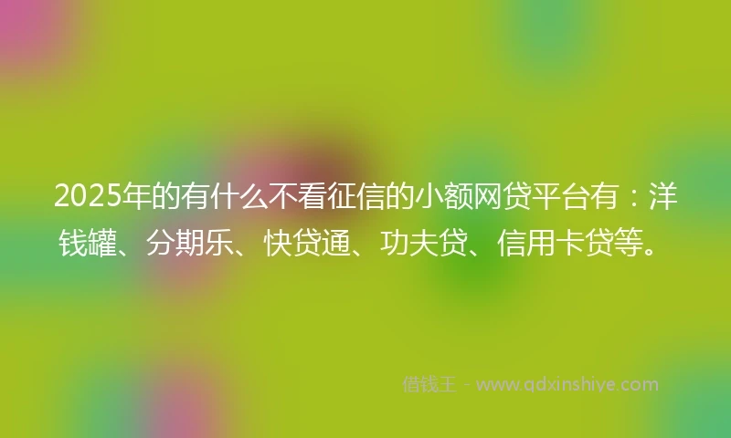 2025年的有什么不看征信的小额网贷平台有：洋钱罐、分期乐、快贷通、功夫贷、信用卡贷等。