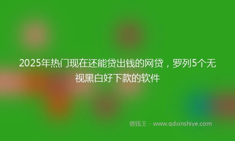 2025年热门现在还能贷出钱的网贷，罗列5个无视黑白好下款的软件