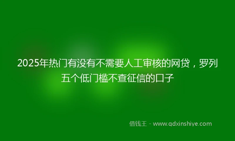 2025年热门有没有不需要人工审核的网贷，罗列五个低门槛不查征信的口子