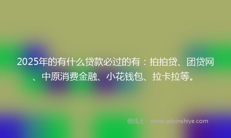 2025年的有什么贷款必过的有：拍拍贷、团贷网、中原消费金融、小花钱包、拉卡拉等。
