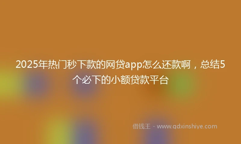 2025年热门秒下款的网贷app怎么还款啊，总结5个必下的小额贷款平台