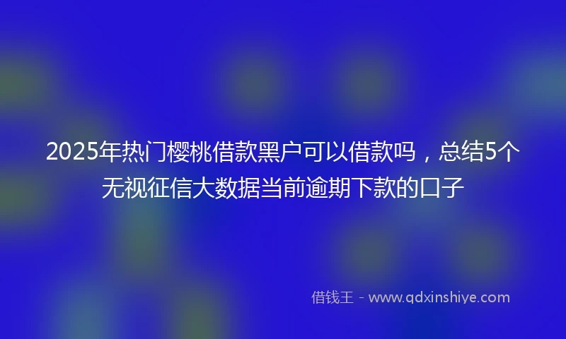 2025年热门樱桃借款黑户可以借款吗，总结5个无视征信大数据当前逾期下款的口子