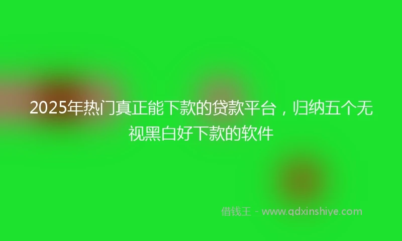 2025年热门真正能下款的贷款平台，归纳五个无视黑白好下款的软件
