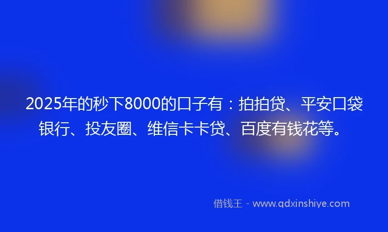2025年的秒下8000的口子有：拍拍贷、平安口袋银行、投友圈、维信卡卡贷、百度有钱花等。