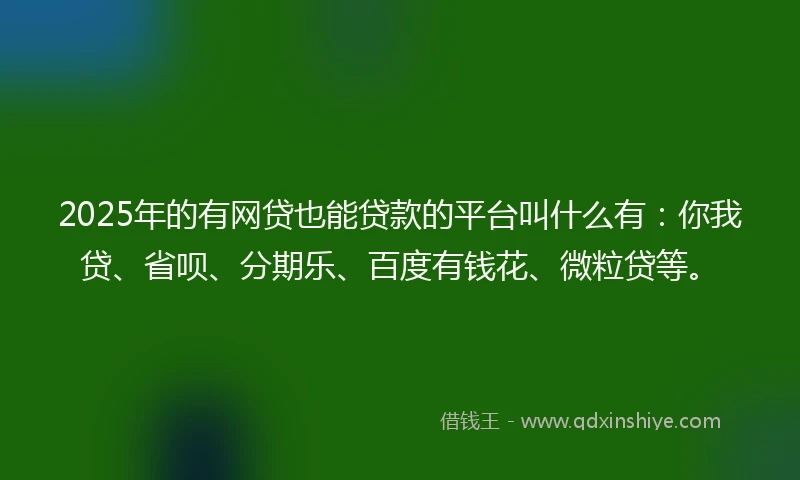 2025年的有网贷也能贷款的平台叫什么有：你我贷、省呗、分期乐、百度有钱花、微粒贷等。