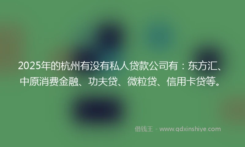 2025年的杭州有没有私人贷款公司有：东方汇、中原消费金融、功夫贷、微粒贷、信用卡贷等。