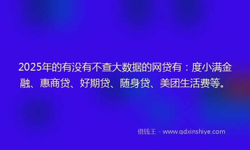 2025年的有没有不查大数据的网贷有：度小满金融、惠商贷、好期贷、随身贷、美团生活费等。