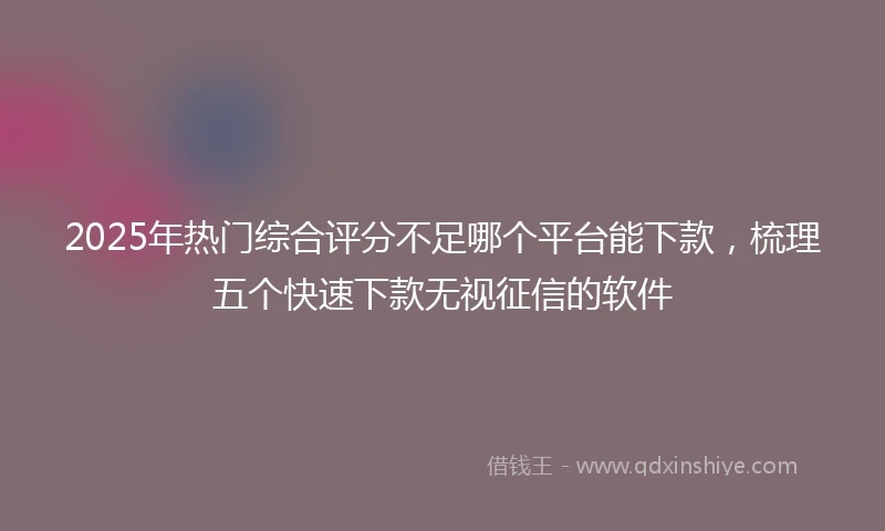 2025年热门综合评分不足哪个平台能下款，梳理五个快速下款无视征信的软件