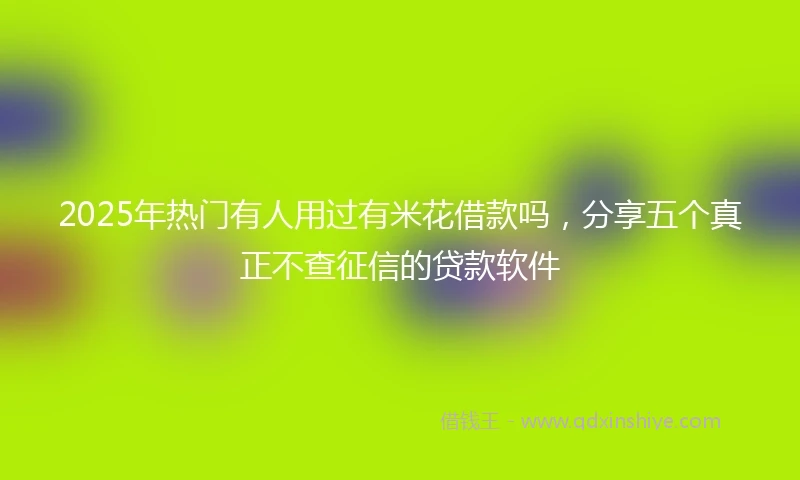 2025年热门有人用过有米花借款吗，分享五个真正不查征信的贷款软件