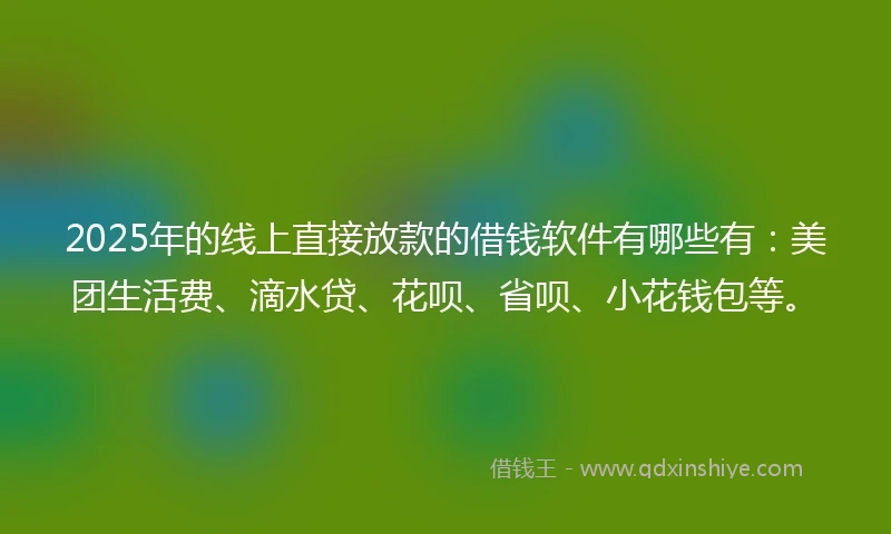 2025年的线上直接放款的借钱软件有哪些有:美团生活费、滴水贷、花呗、省呗、小花钱包等。