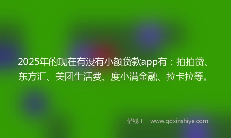 2025年的现在有没有小额贷款app有：拍拍贷、东方汇、美团生活费、度小满金融、拉卡拉等。