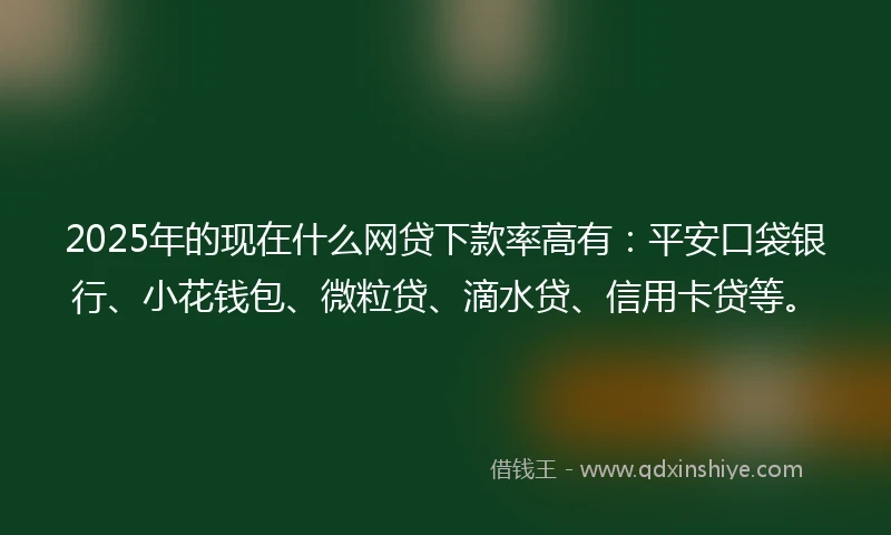 2025年的现在什么网贷下款率高有：平安口袋银行、小花钱包、微粒贷、滴水贷、信用卡贷等。