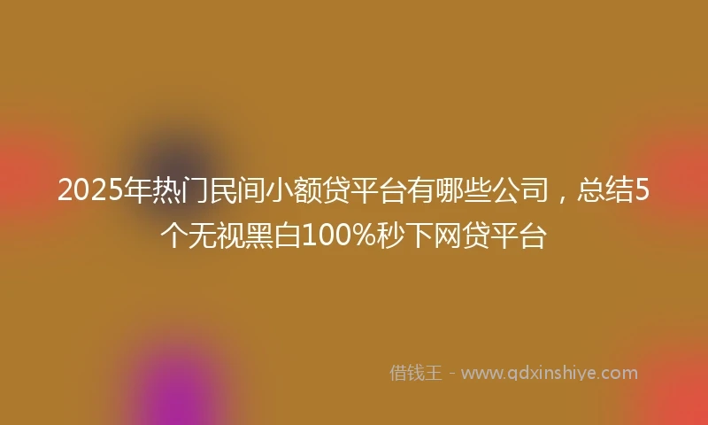 2025年热门民间小额贷平台有哪些公司，总结5个无视黑白100%秒下网贷平台