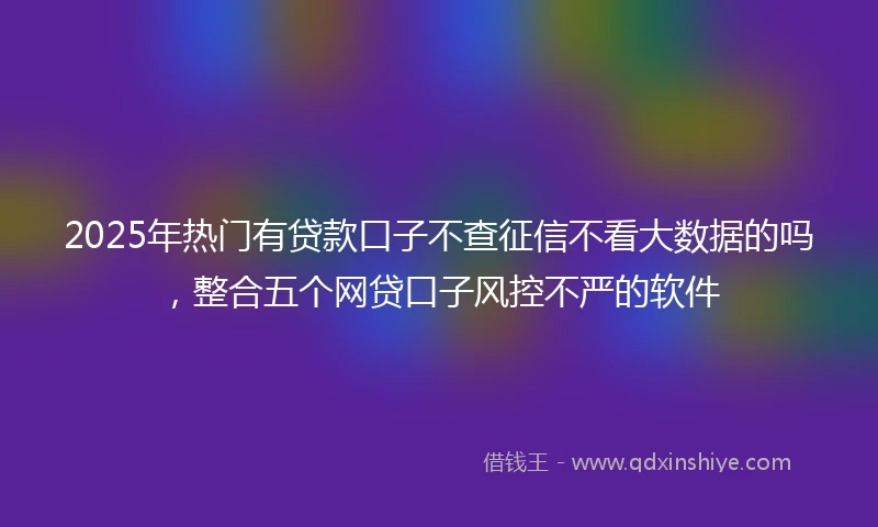 2025年热门有贷款口子不查征信不看大数据的吗，整合五个网贷口子风控不严的软件