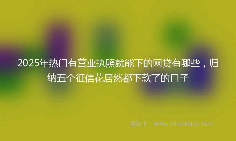2025年热门有营业执照就能下的网贷有哪些，归纳五个征信花居然都下款了的口子
