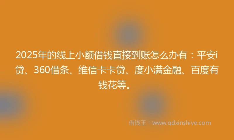 2025年的线上小额借钱直接到账怎么办有：平安i贷、360借条、维信卡卡贷、度小满金融、百度有钱花等。
