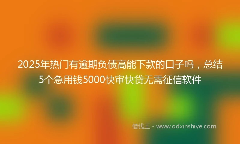 2025年热门有逾期负债高能下款的口子吗，总结5个急用钱5000快审快贷无需征信软件