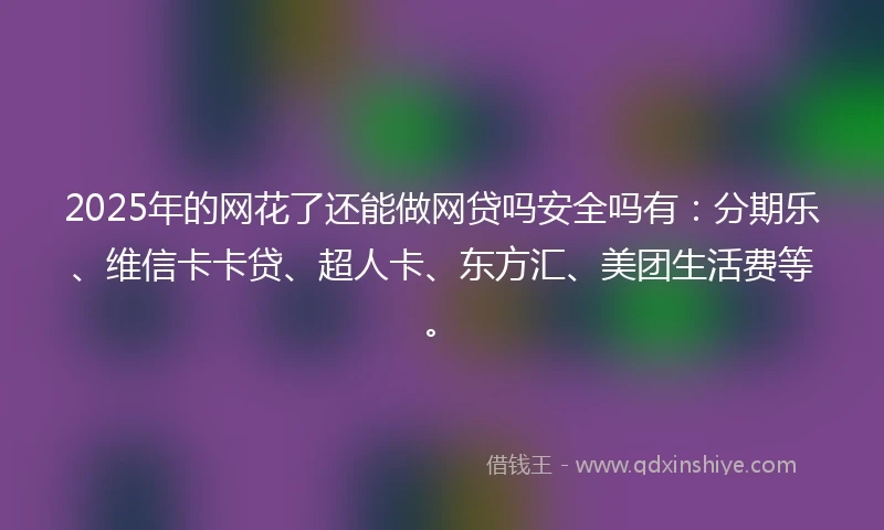 2025年的网花了还能做网贷吗安全吗有：分期乐、维信卡卡贷、超人卡、东方汇、美团生活费等。