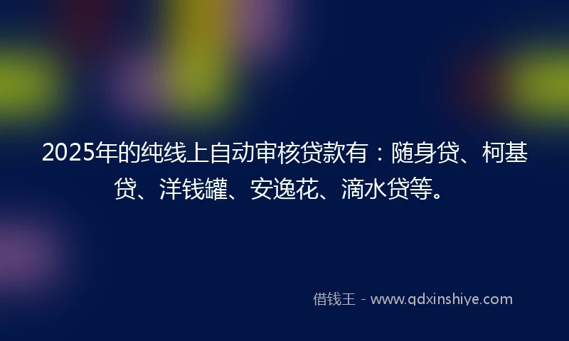 2025年的纯线上自动审核贷款有：随身贷、柯基贷、洋钱罐、安逸花、滴水贷等。