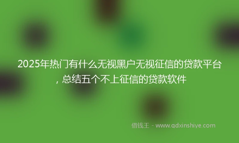 2025年热门有什么无视黑户无视征信的贷款平台，总结五个不上征信的贷款软件