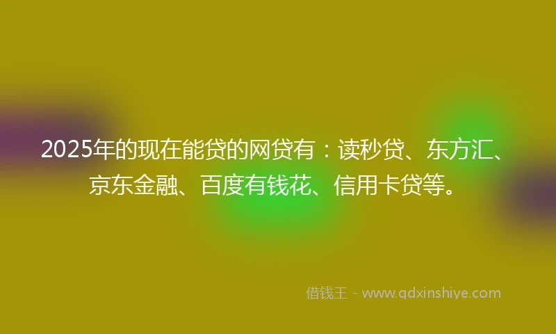 2025年的现在能贷的网贷有：读秒贷、东方汇、京东金融、百度有钱花、信用卡贷等。