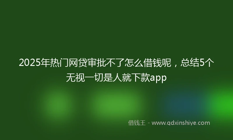2025年热门网贷审批不了怎么借钱呢，总结5个无视一切是人就下款app