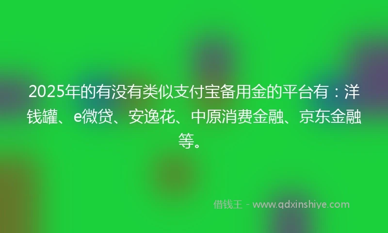 2025年的有没有类似支付宝备用金的平台有：洋钱罐、e微贷、安逸花、中原消费金融、京东金融等。