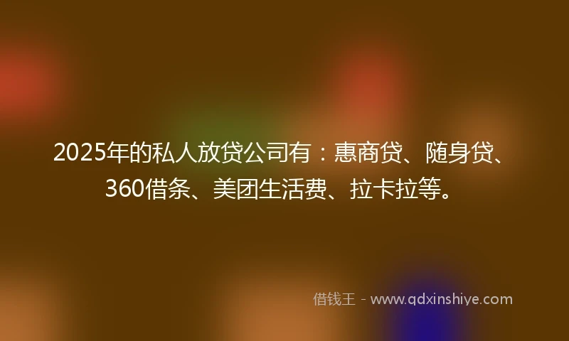 2025年的私人放贷公司有：惠商贷、随身贷、360借条、美团生活费、拉卡拉等。