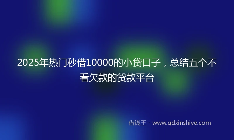 2025年热门秒借10000的小贷口子，总结五个不看欠款的贷款平台