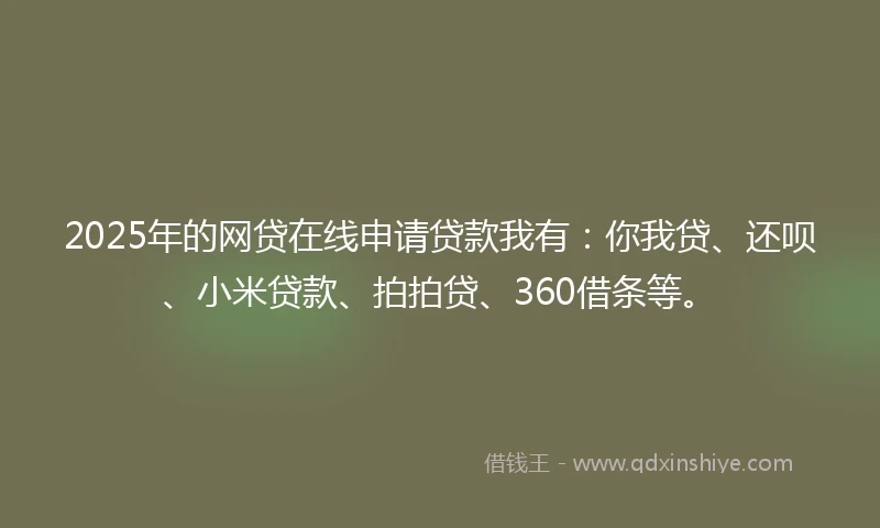 2025年的网贷在线申请贷款我有：你我贷、还呗、小米贷款、拍拍贷、360借条等。
