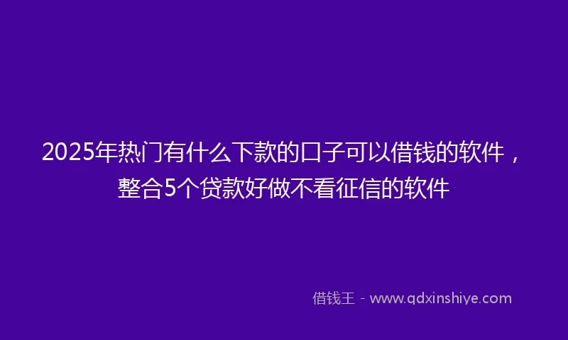2025年热门有什么下款的口子可以借钱的软件，整合5个贷款好做不看征信的软件