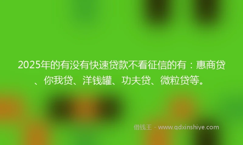 2025年的有没有快速贷款不看征信的有：惠商贷、你我贷、洋钱罐、功夫贷、微粒贷等。