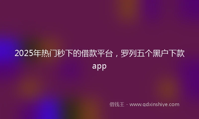 2025年热门秒下的借款平台，罗列五个黑户下款app