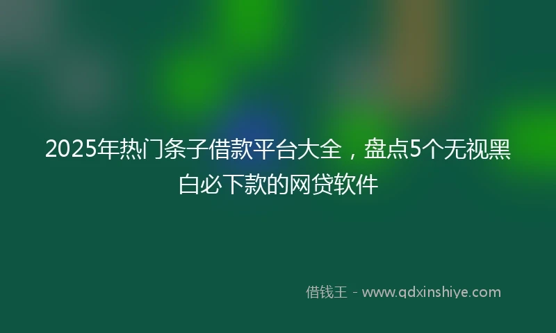 2025年热门条子借款平台大全，盘点5个无视黑白必下款的网贷软件