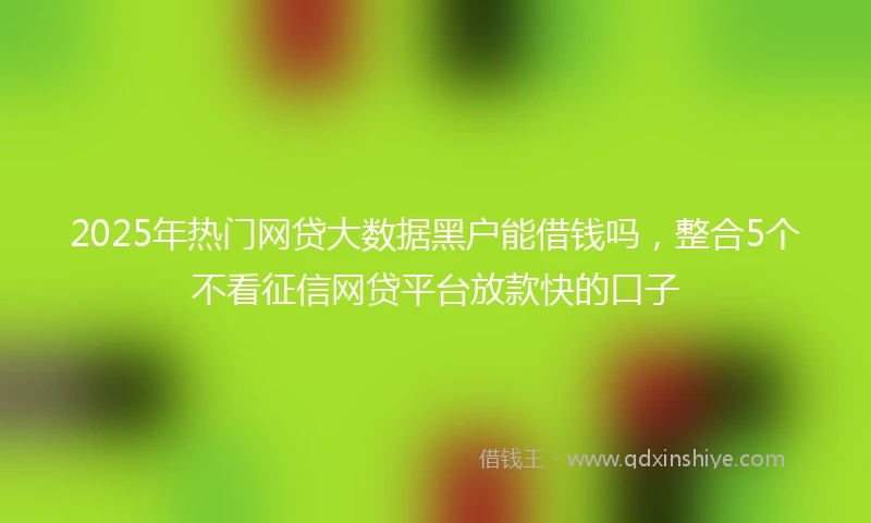 2025年热门网贷大数据黑户能借钱吗，整合5个不看征信网贷平台放款快的口子