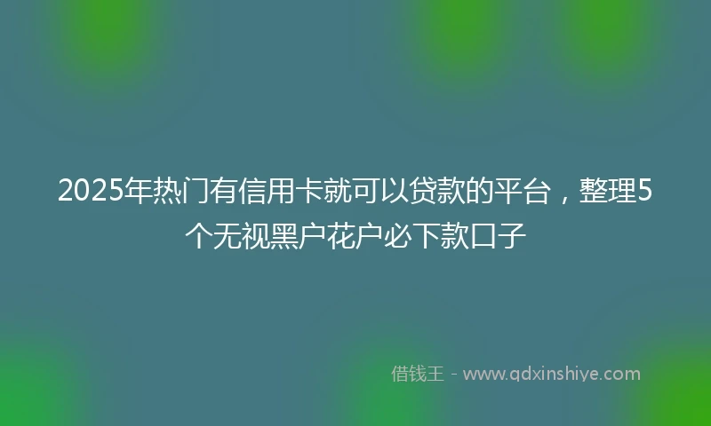 2025年热门有信用卡就可以贷款的平台，整理5个无视黑户花户必下款口子