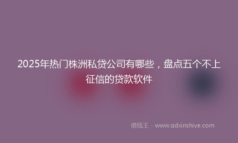 2025年热门株洲私贷公司有哪些，盘点五个不上征信的贷款软件