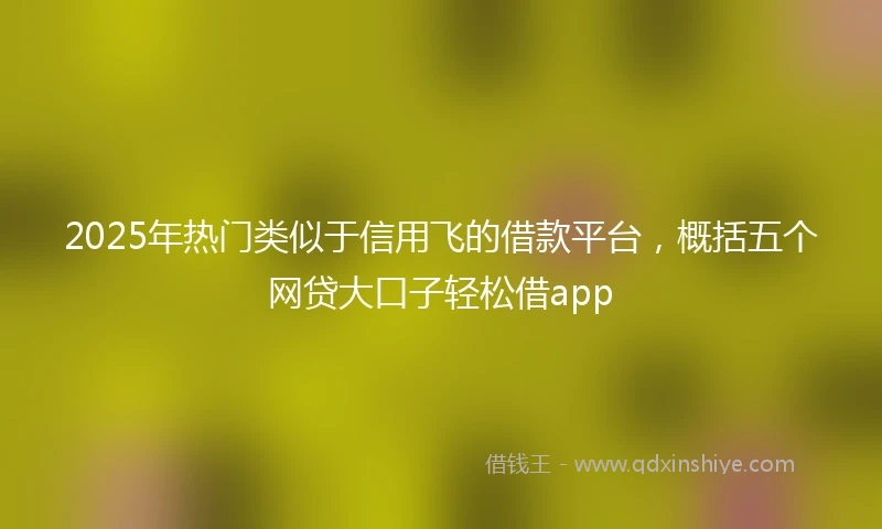 2025年热门类似于信用飞的借款平台，概括五个网贷大口子轻松借app