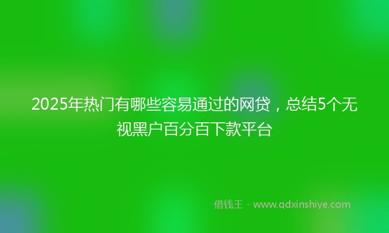 2025年热门有哪些容易通过的网贷，总结5个无视黑户百分百下款平台