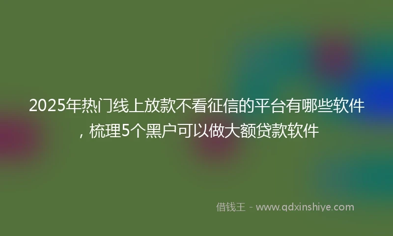 2025年热门线上放款不看征信的平台有哪些软件，梳理5个黑户可以做大额贷款软件