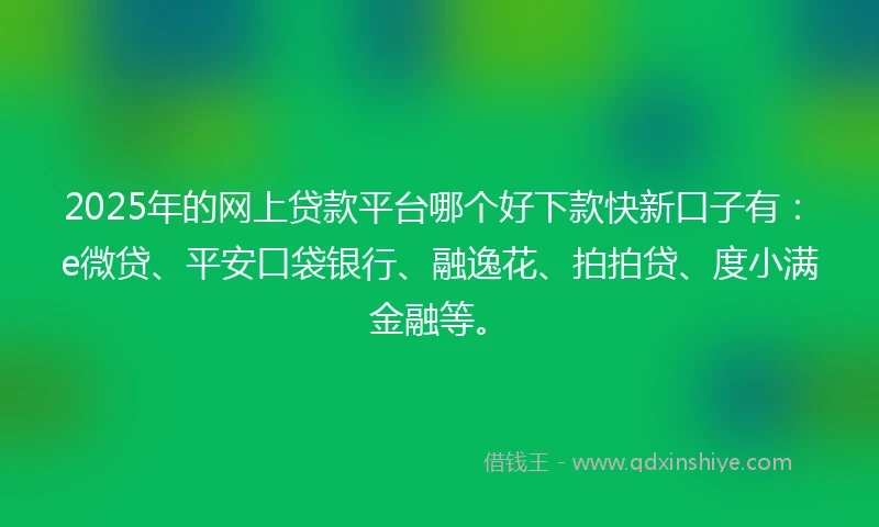 2025年的网上贷款平台哪个好下款快新口子有：e微贷、平安口袋银行、融逸花、拍拍贷、度小满金融等。