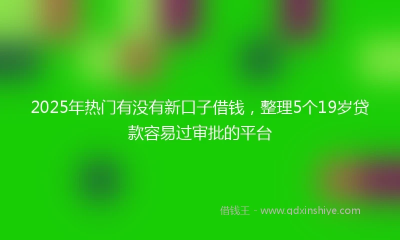 2025年热门有没有新口子借钱，整理5个19岁贷款容易过审批的平台