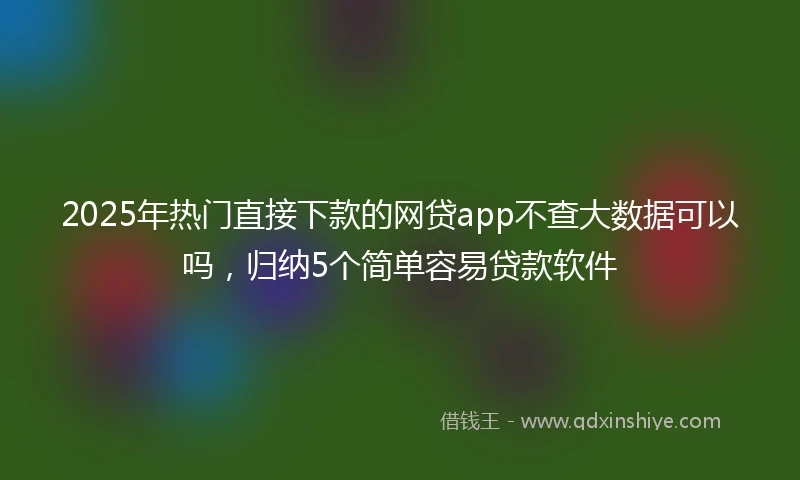 2025年热门直接下款的网贷app不查大数据可以吗，归纳5个简单容易贷款软件