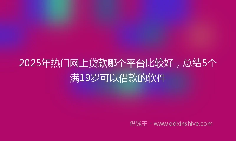 2025年热门网上贷款哪个平台比较好，总结5个满19岁可以借款的软件
