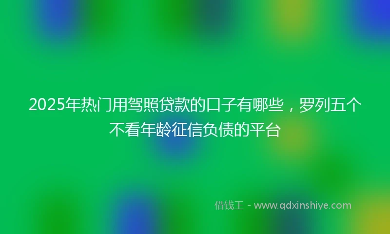2025年热门用驾照贷款的口子有哪些，罗列五个不看年龄征信负债的平台