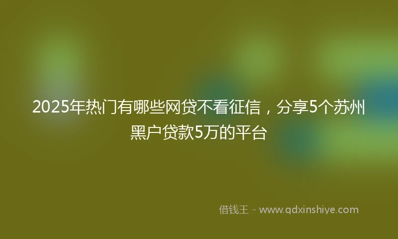 2025年热门有哪些网贷不看征信，分享5个苏州黑户贷款5万的平台