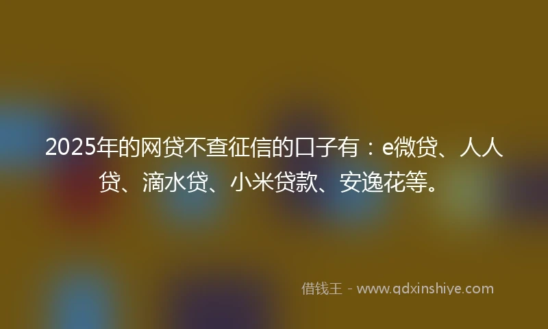 2025年的网贷不查征信的口子有：e微贷、人人贷、滴水贷、小米贷款、安逸花等。