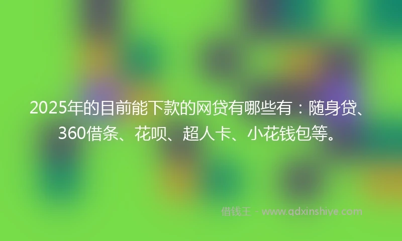 2025年的目前能下款的网贷有哪些有：随身贷、360借条、花呗、超人卡、小花钱包等。