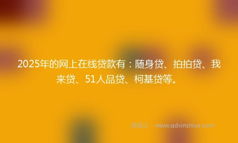 2025年的网上在线贷款有：随身贷、拍拍贷、我来贷、51人品贷、柯基贷等。
