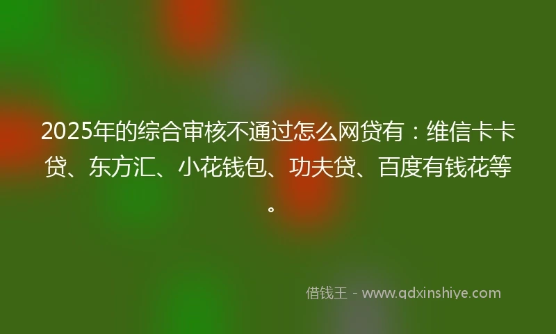 2025年的综合审核不通过怎么网贷有：维信卡卡贷、东方汇、小花钱包、功夫贷、百度有钱花等。